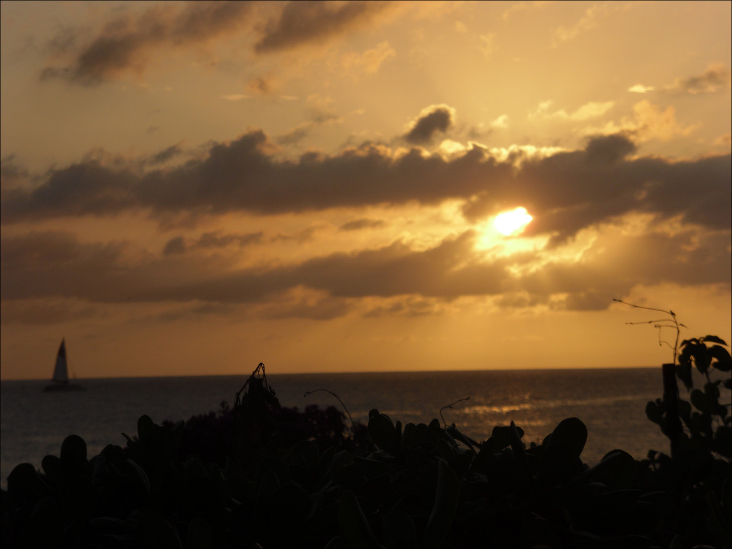 Cpt Andy at sunset