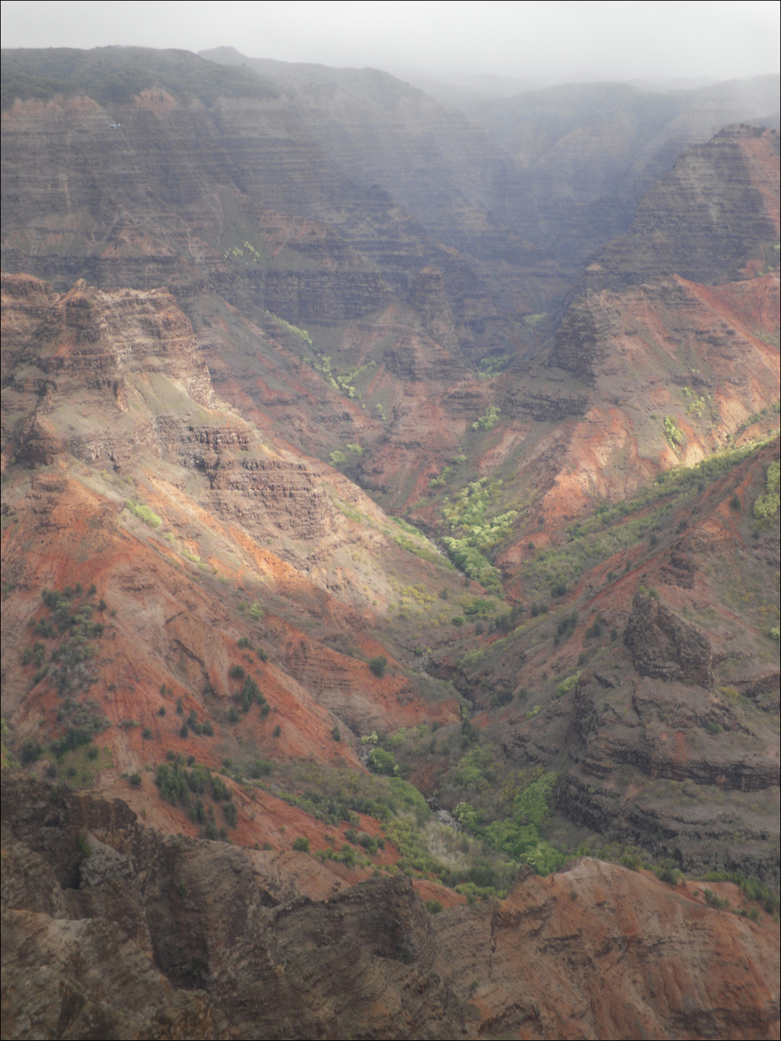 Views of Waimea canyon