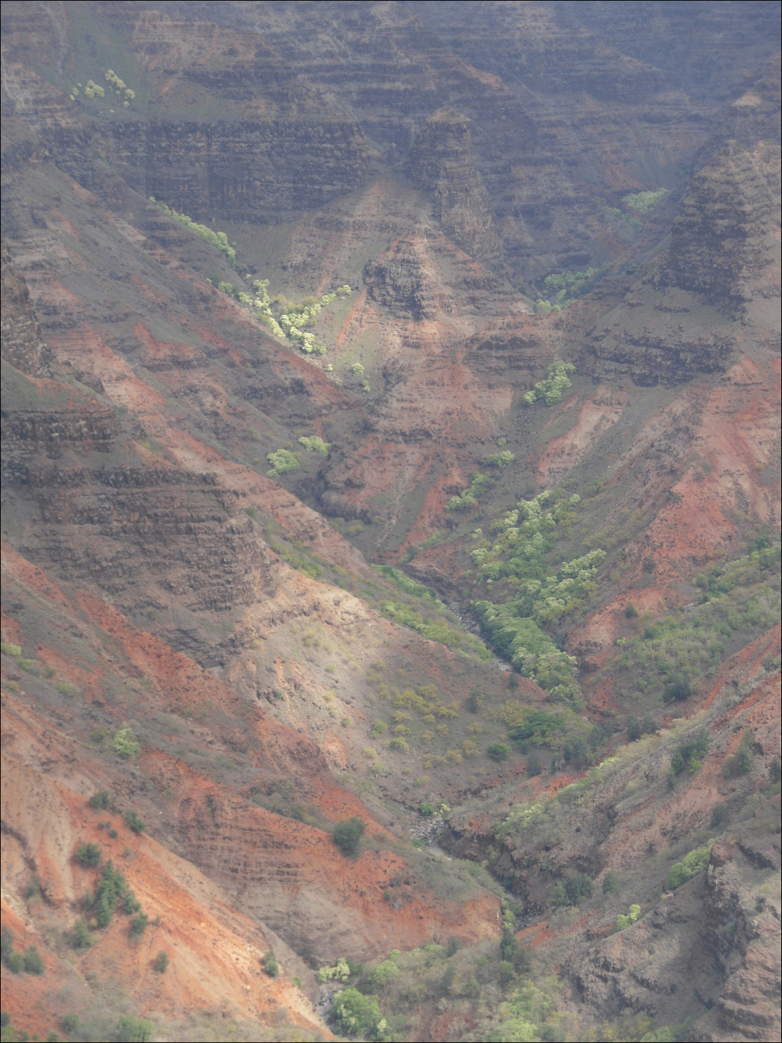 Views of Waimea canyon