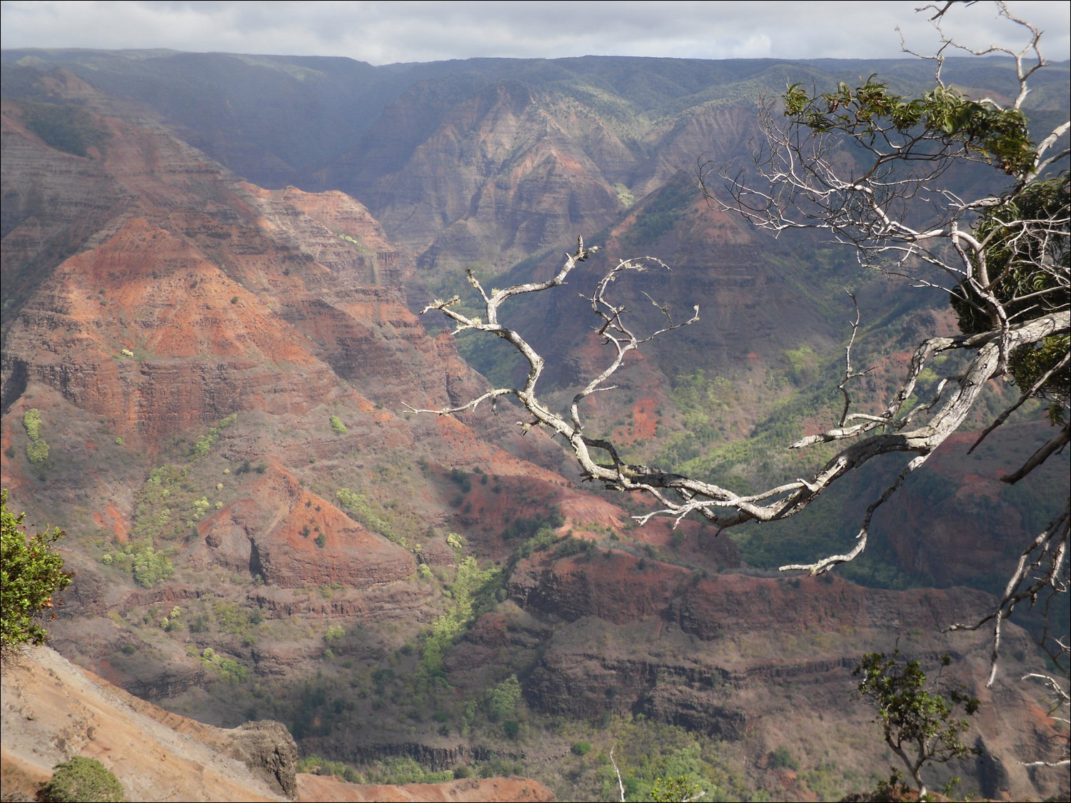 Views of Waimea canyon