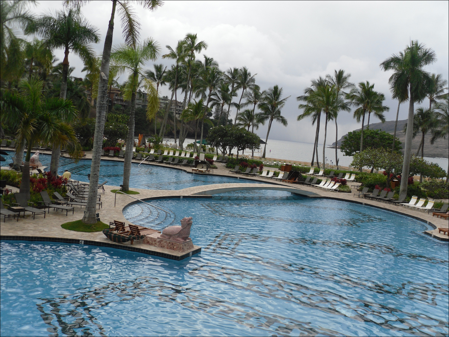 Scenery from the Marriot lagoon