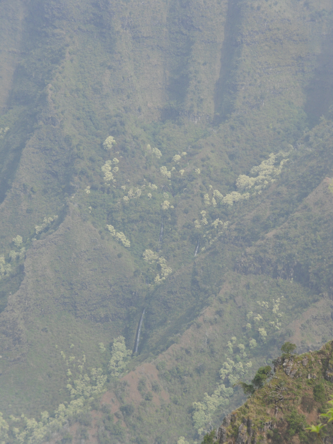 Views of Waimea Canyon