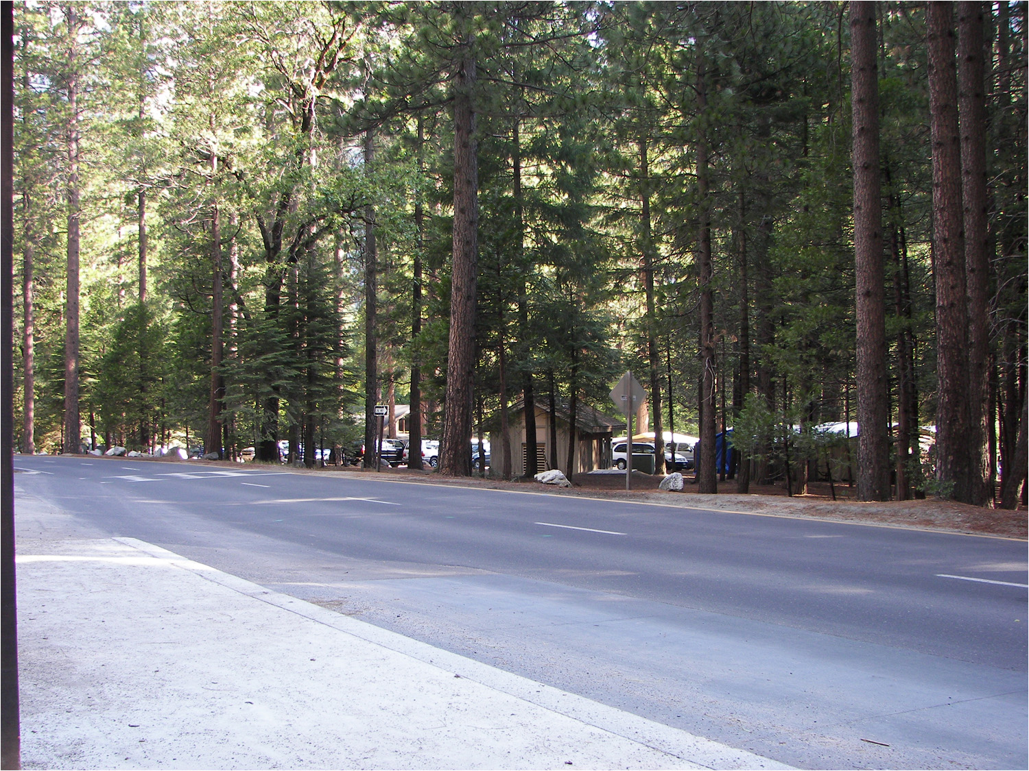 View from the bus stop at houskeeping