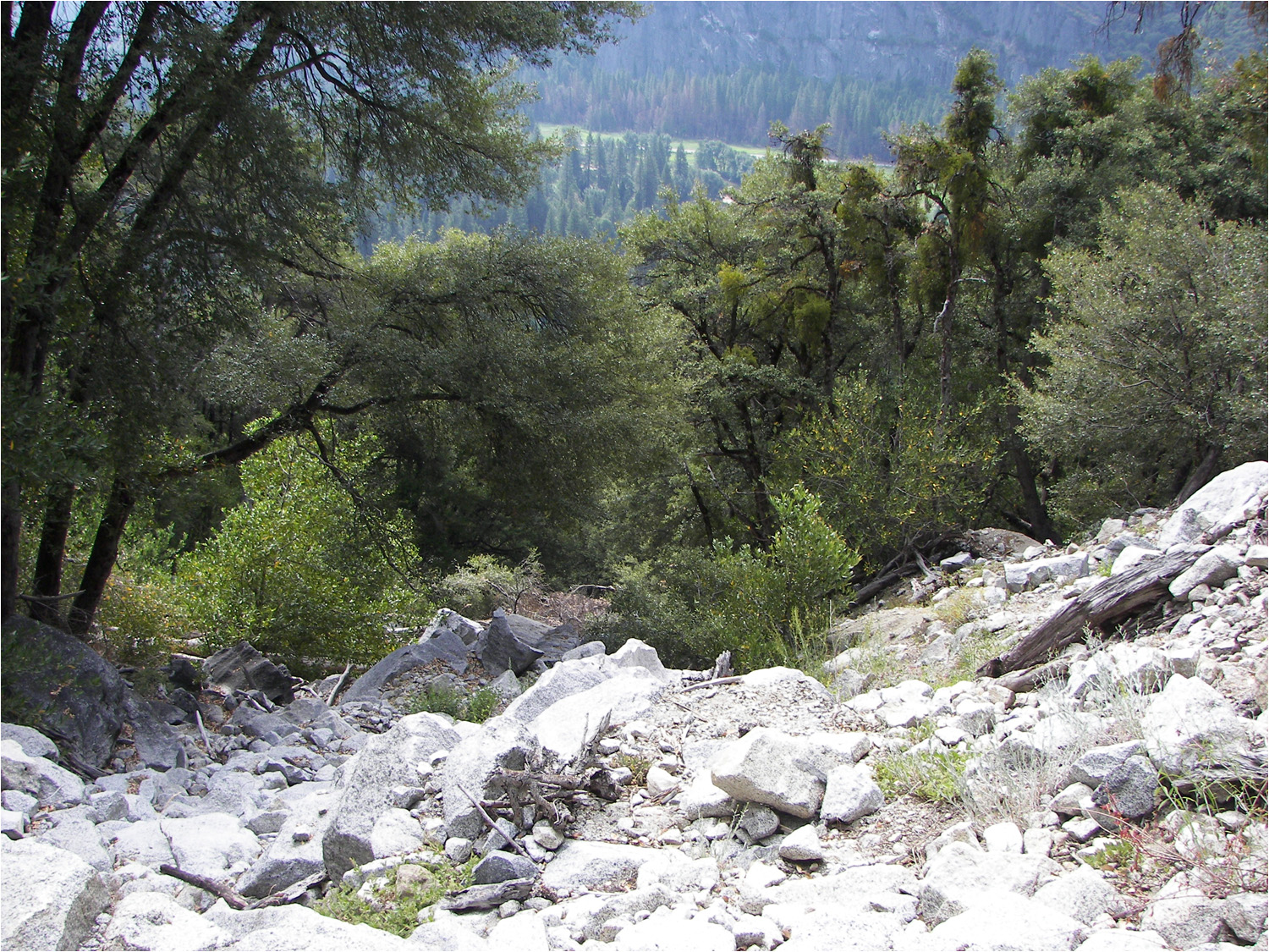 Upper Yosemite Falls Hike- View from trail about 1 hour into hike