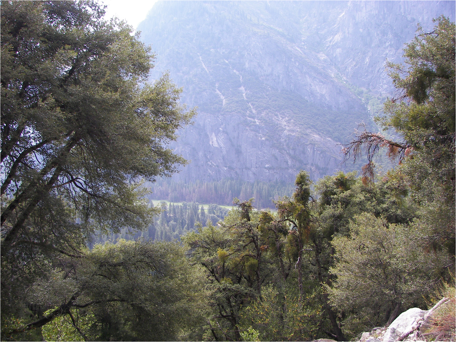 Upper Yosemite Falls Hike- View from trail about 1 hour into hike