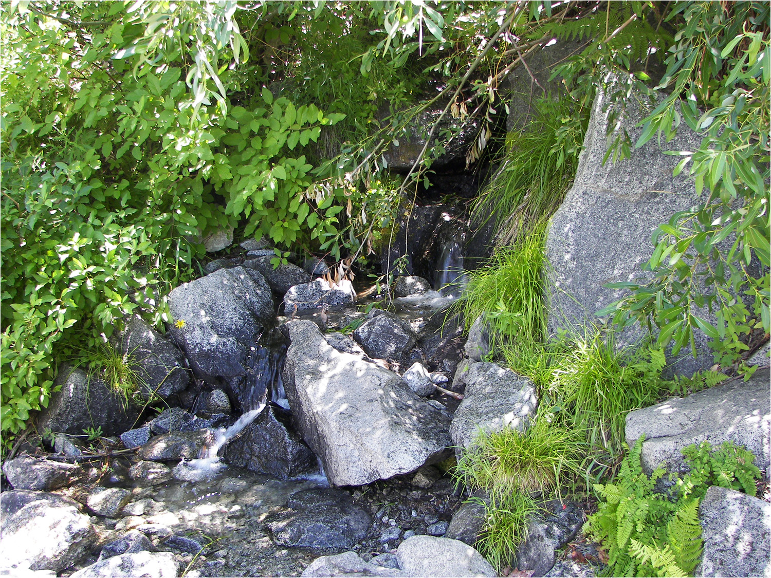 Glacier Point Hike-Stream across the trail