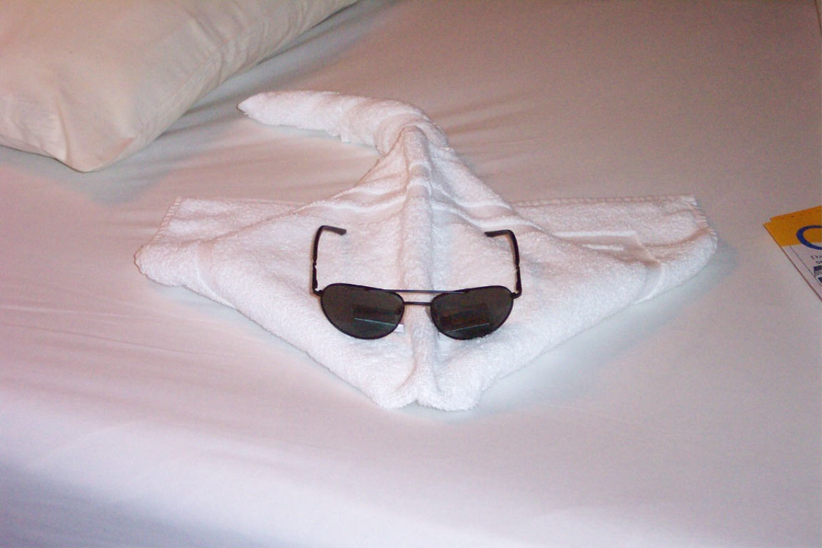 One of several animal creations (stingray) left by our stateroom attendant