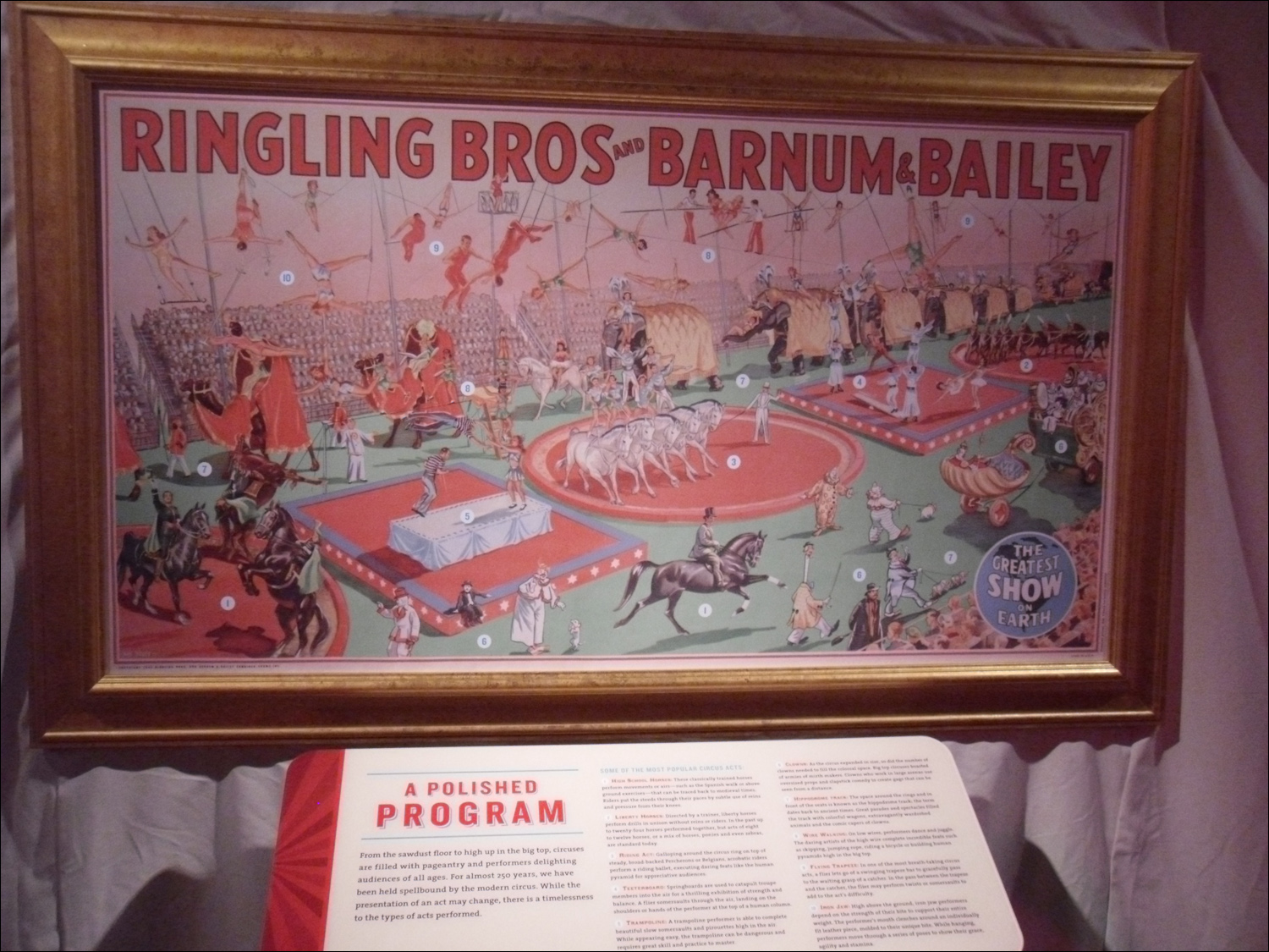 John & Mabel Ringling Museum-full size exhibits