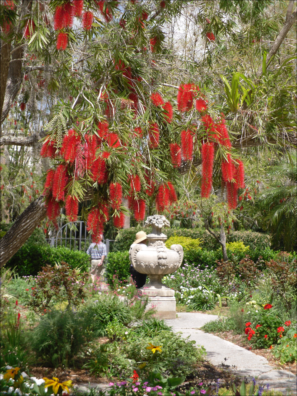 John & Mabel Ringling Museum-flowers at Secret Garden next to mansion