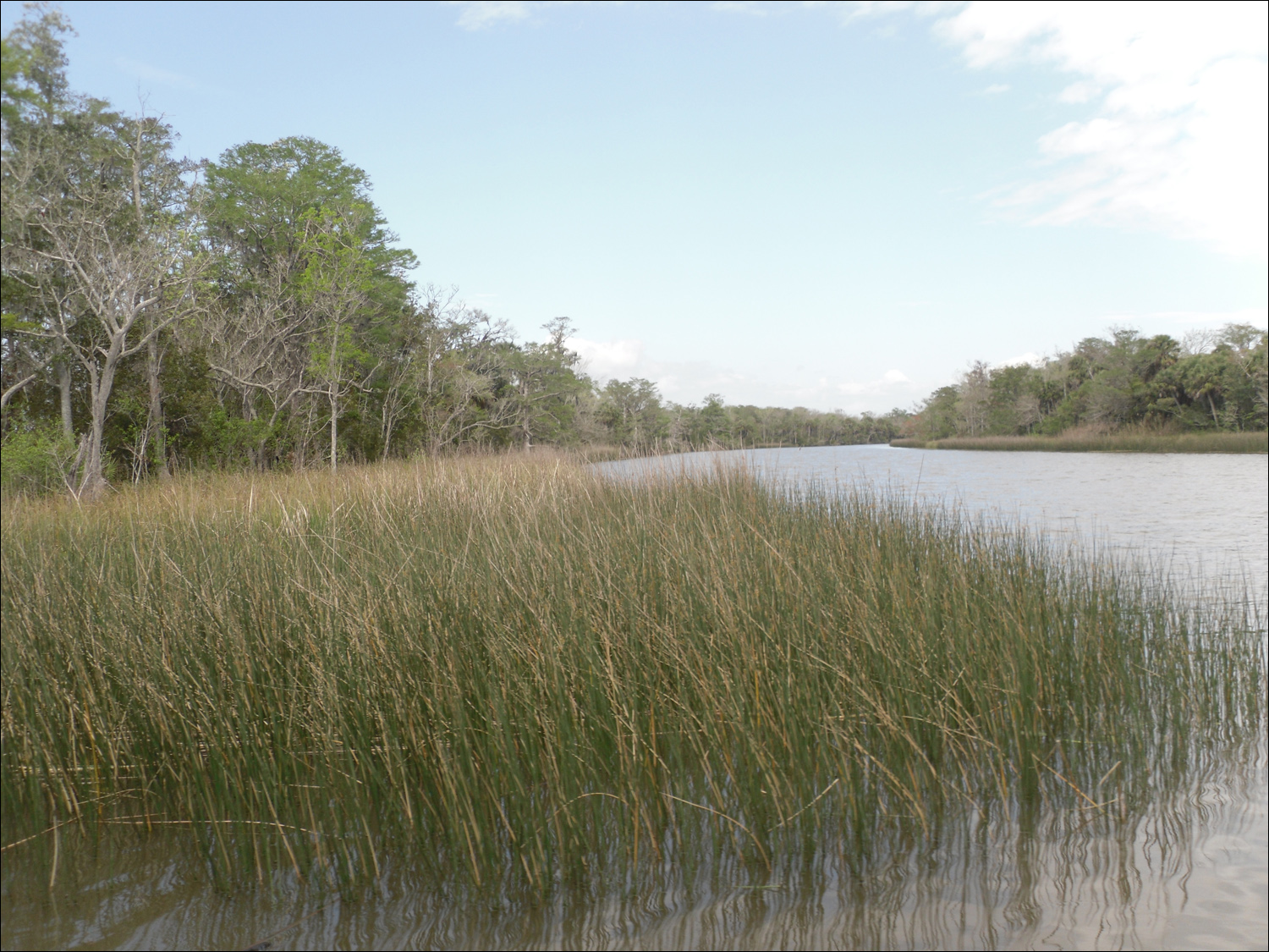 Apalachicola River boat tour