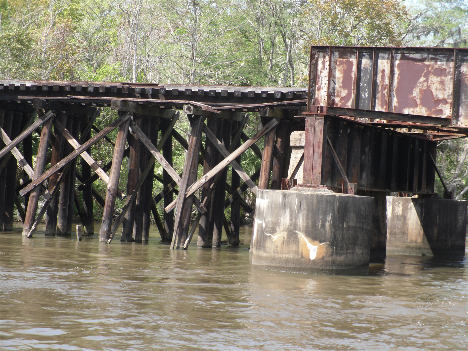 Apalachicola River boat tour