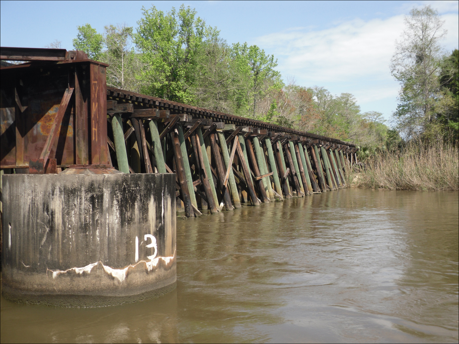 Apalachicola River boat tour