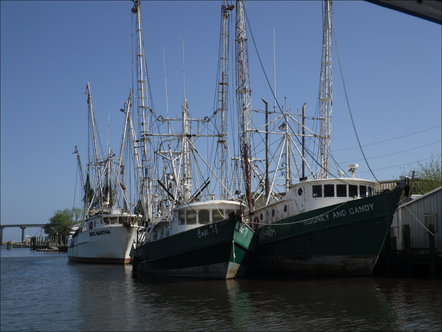 Apalachicola River boat tour