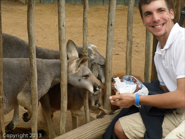 Busch Gardens