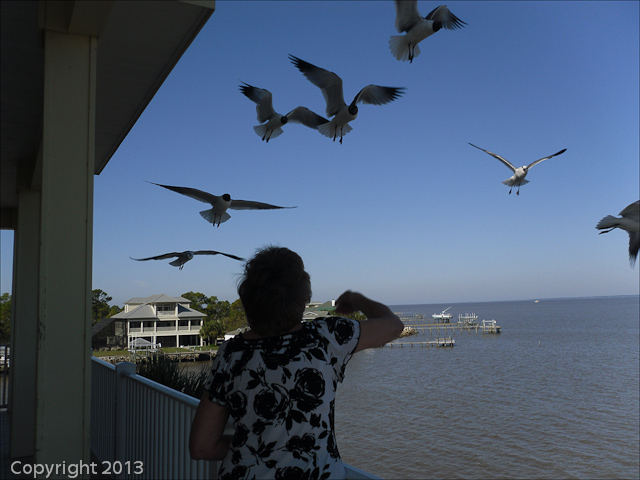 St George Island area