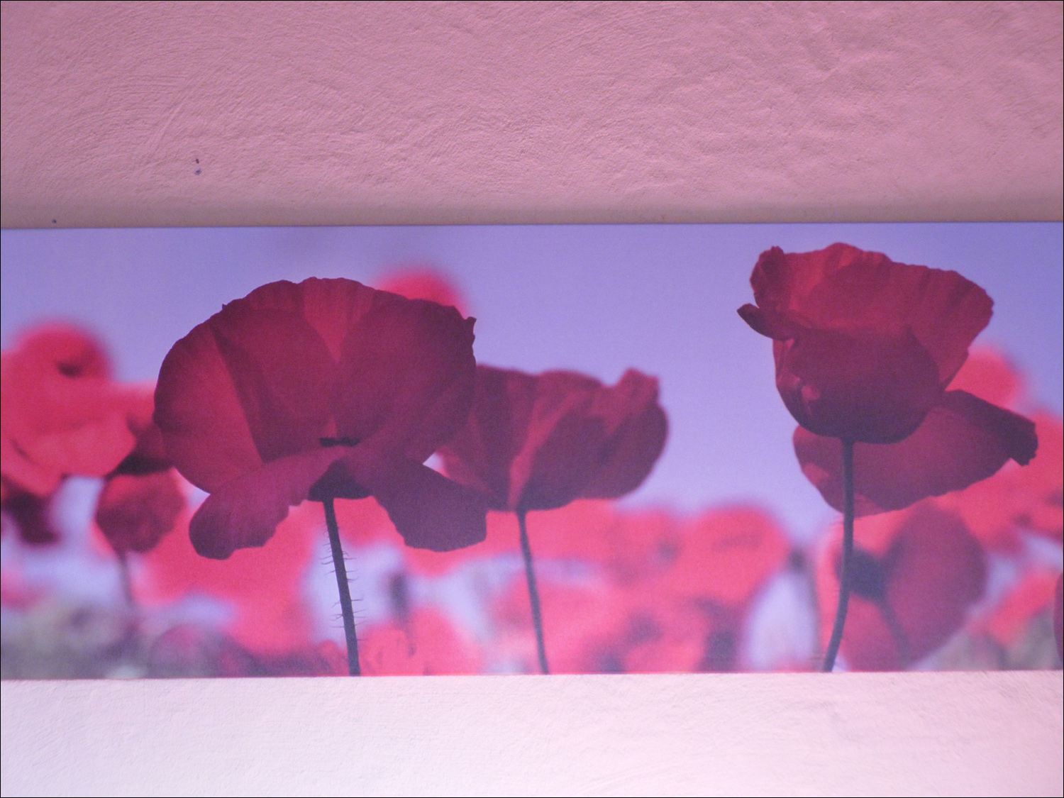 Floral picture in top floor bedroom of Delft house