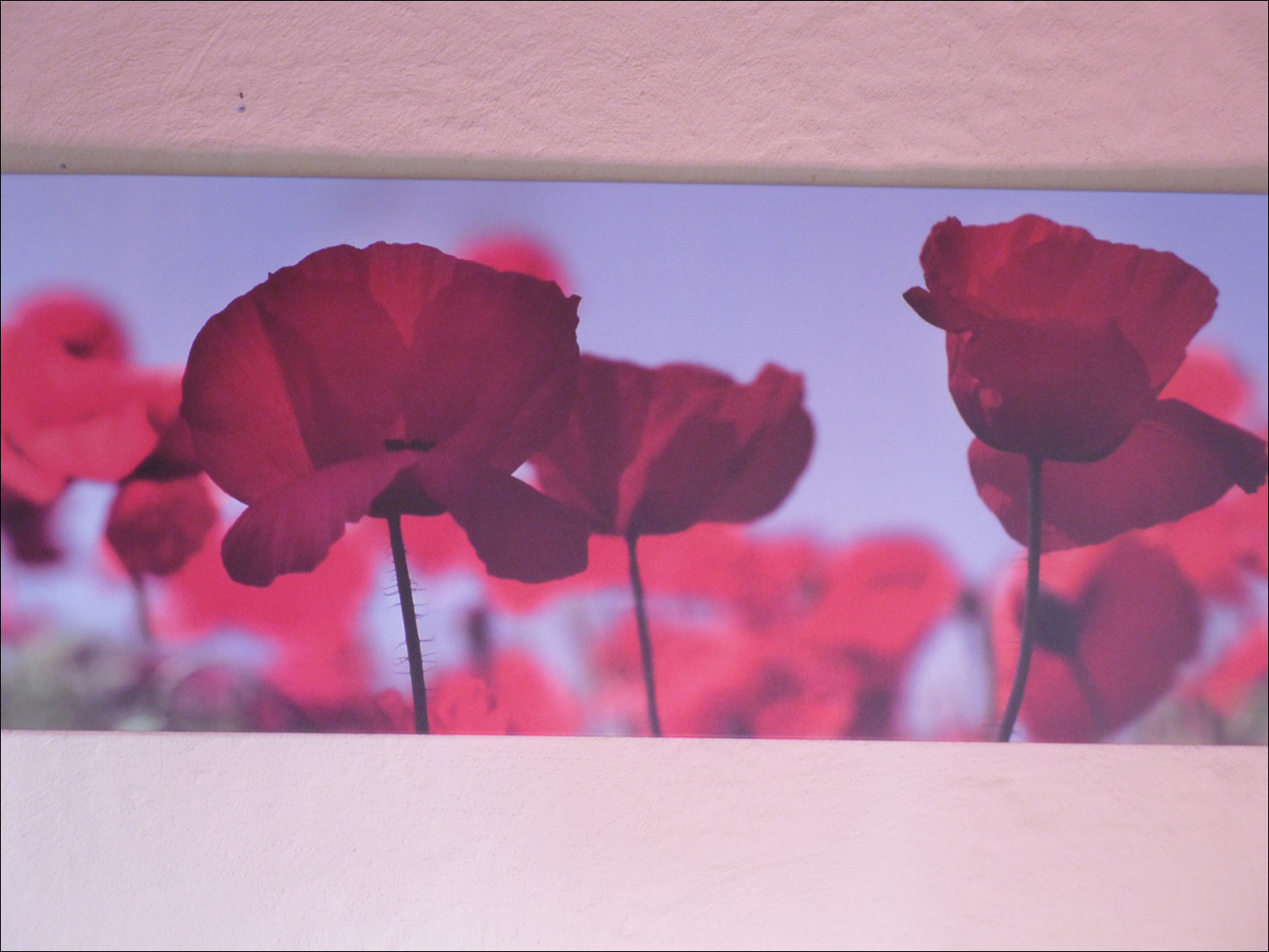 Floral picture in top floor bedroom of Delft house