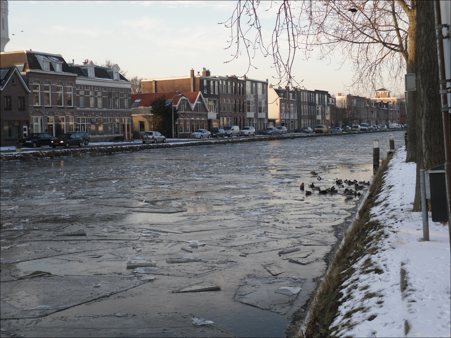 frozen canal in front of Delfts Pauw building